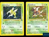 deux cartes Pokémon présentant des motifs différents sur un fond noir