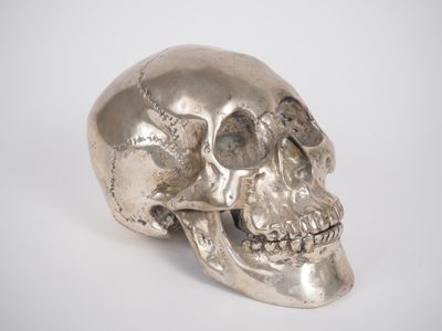 silver metal skull with open mouth on a white background