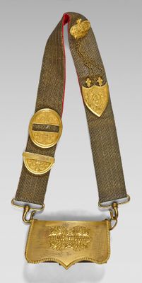 an image of a gold plated belt with a metal buckle