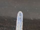 a silver spoon with a feather on it sitting on a table