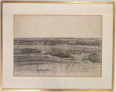 drawing of a landscape with a field of grass in the foreground and a distant plain in the distance
