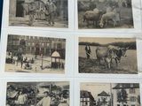 several old black and white photos of people and animals in an enclosure