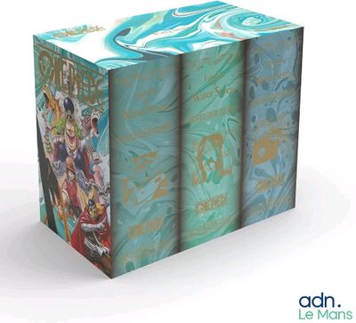 a box that has a bunch of anime books in it
