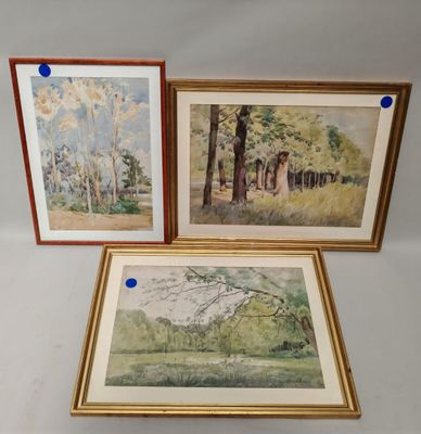 trois aquarelles encadrées représentant des arbres et une rivière