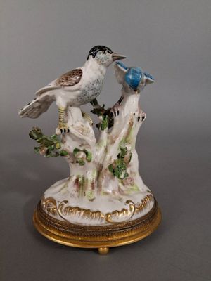 deux oiseaux assis sur une branche d'arbre