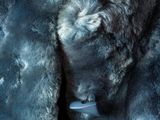 two fur coats hanging on the back of a car