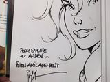 Photo 25/40 du lot