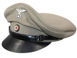 an image of a military hat with a badge on it