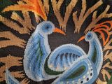 a close up of a colorful bird on a black background