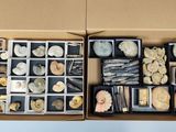 une boîte remplie de cailloux et d'autres objets