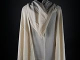 le dos d'un sweat à capuche blanc, porté par un mannequin