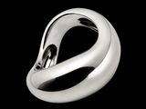 a silver ring that is shaped like a swan