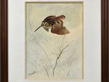 une image représentant un tableau d'un oiseau en plein vol
