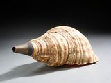 un coquillage d'où sort un tuyau, posé sur une table
