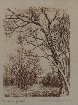 une image représentant un dessin d'un arbre sur lequel est perché un oiseau