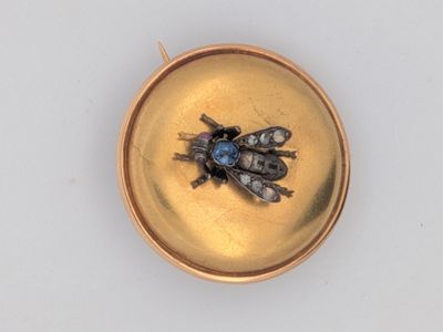 une photo d'une mouche au milieu d'une mèche dorée