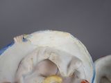 a white and blue vase with a banana in it