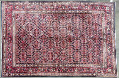 Tapis Sarough Iran , fait main en laine, 322x221 (23376)