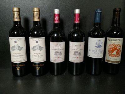 Lot de 6 bouteilles de vin rouge dont : Bernard Magrez Haut-… - Photo 1
