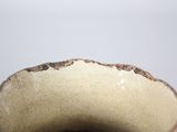 a close up of a vase on a table