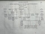 a family tree on the wall of a building