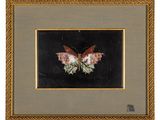 une image représentant un papillon peint sur fond noir