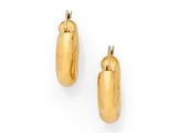 une paire de boucles d'oreilles plaquées or en forme d'anneaux ovales