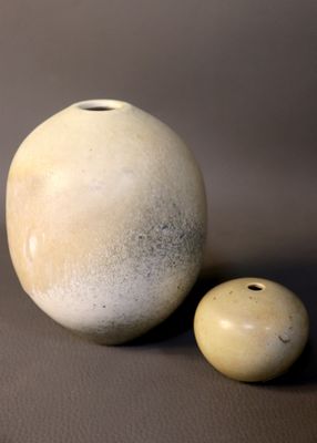 deux vases posés l'un à côté de l'autre sur une table