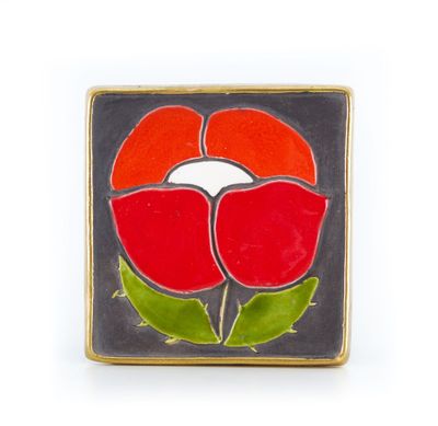 un gros plan d'une fleur rouge et verte sur fond noir