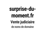 Photo 1/1 du lot