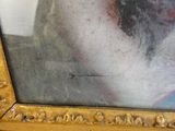 la photo d'une photo représentant un chien dans un cadre