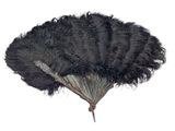 un éventail noir orné de plumes sur fond blanc