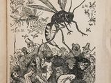 an old book with a drawing of a bug on it ' s cover