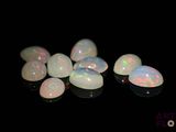 quelques oplites blancs sont posés sur une surface noire