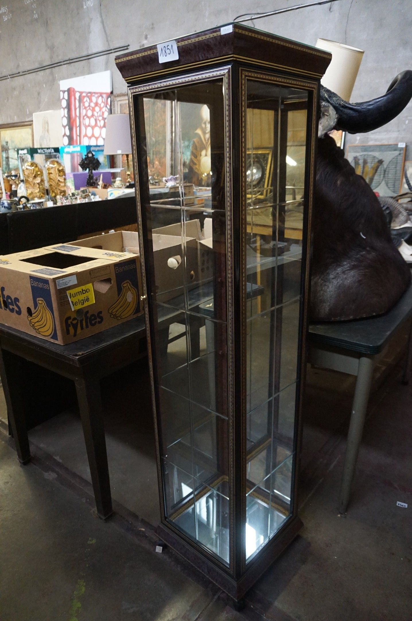 vitrine moderne avec éclairage - à 1 porte - avec étagères e…