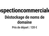 Photo 1/1 du lot