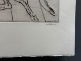 une photo représentant un dessin de chien sur une feuille de papier