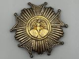 an image of a gold medal with a horse on it ' s back