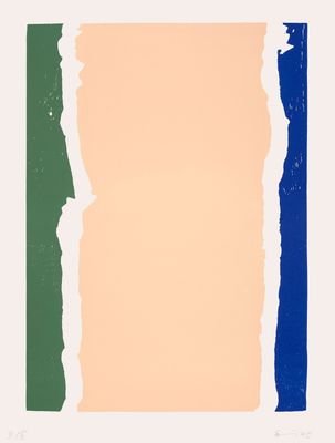 an image of a piece of paper that has been torn off