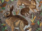 a plate with a picture of two rabbits on it