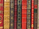 many books that are lined up on a shelf
