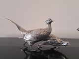 two birds that are sitting on a table