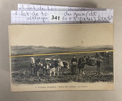 an old photo of a group of cows standing in a field