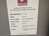Photo 2/2 du lot