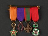 several medals are displayed on a black surface with a red, purple, and green ribbon