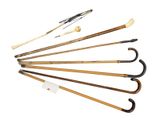 many different types of canes on a white background