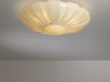 Photo 1/5 du lot