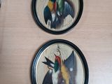 deux assiettes ornées d'oiseaux, posées sur une table
