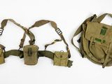 une paire d'étuis d'épaule militaires sur fond blanc