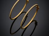 une paire de boucles d'oreilles en or sur fond noir
